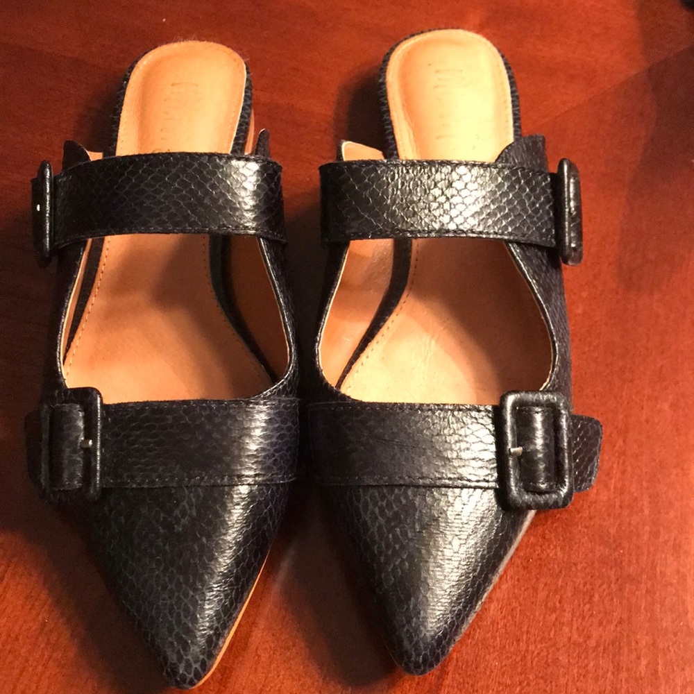 MI, IM mule buckle flat